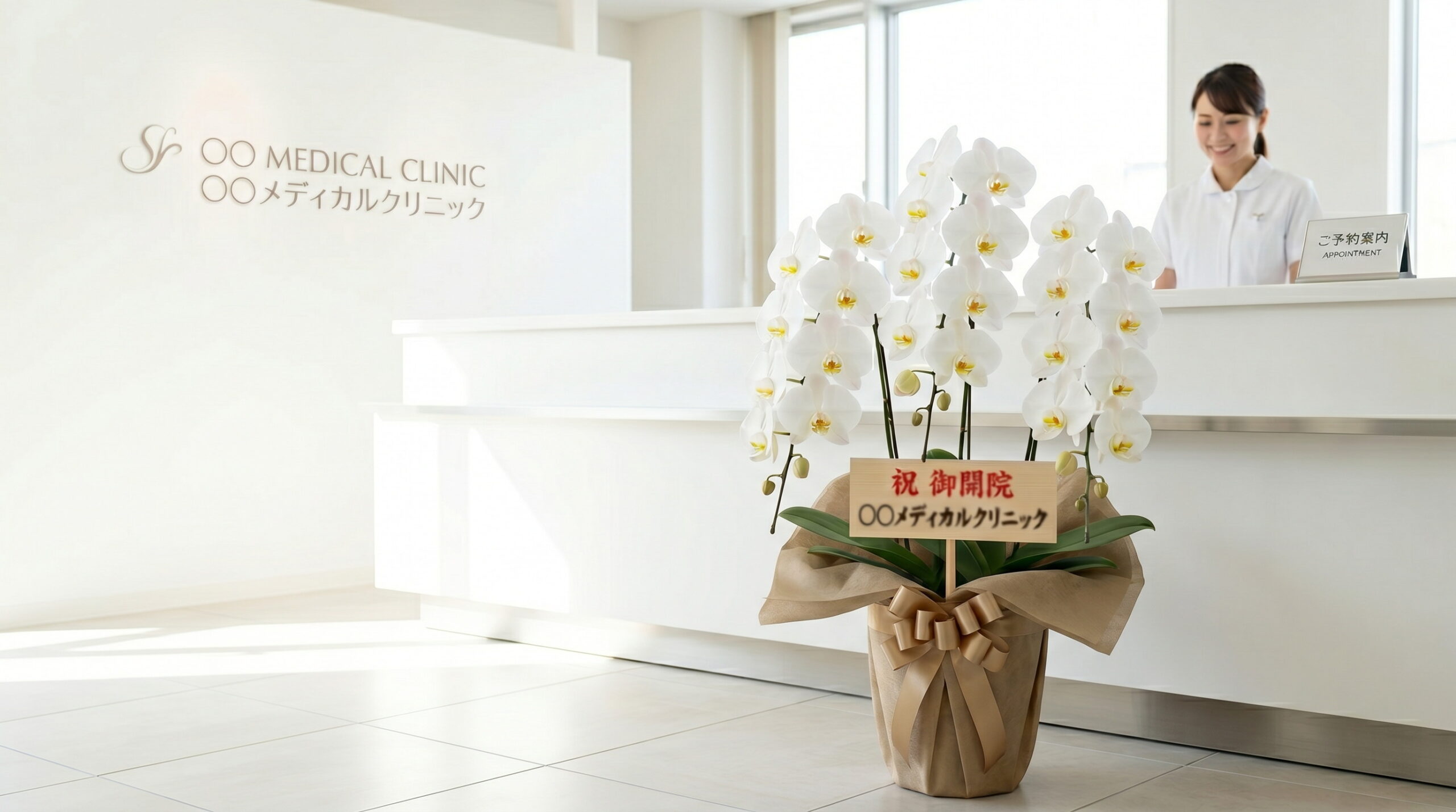メディカルクリニックの開院祝いに贈られた白胡蝶蘭の大鉢