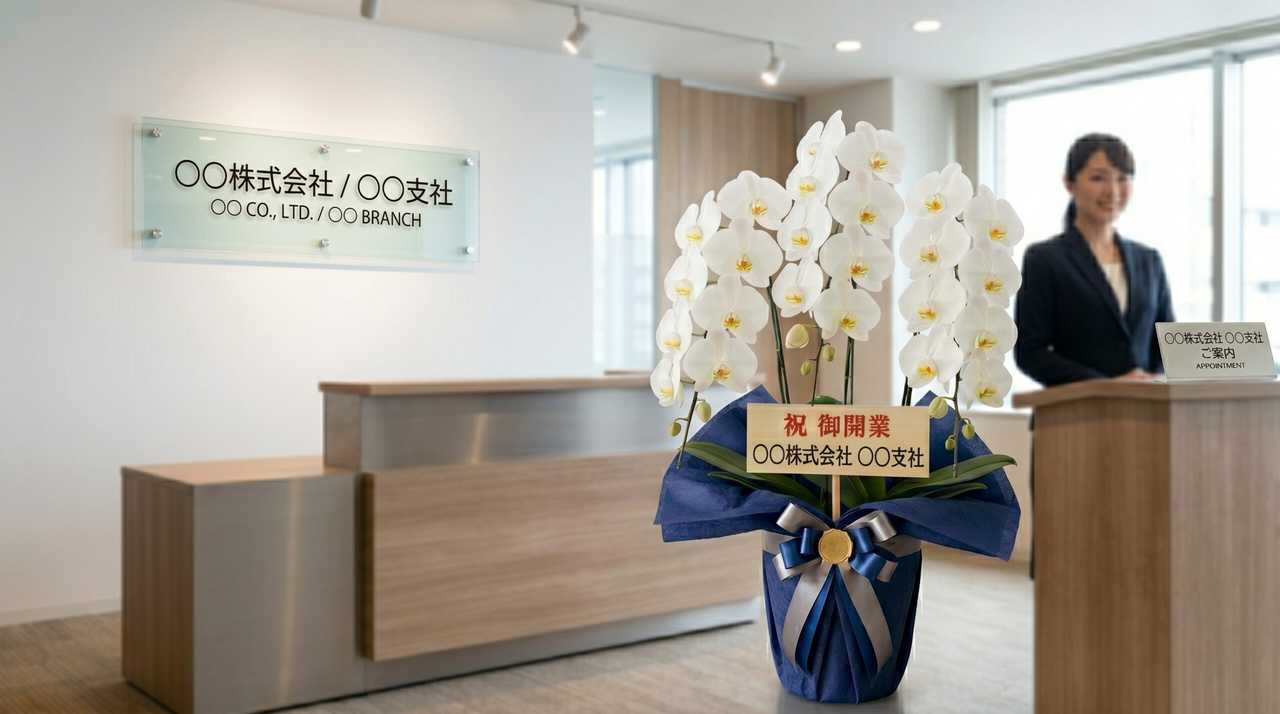 株式会社支社の開業祝いに贈られた白胡蝶蘭3本立て