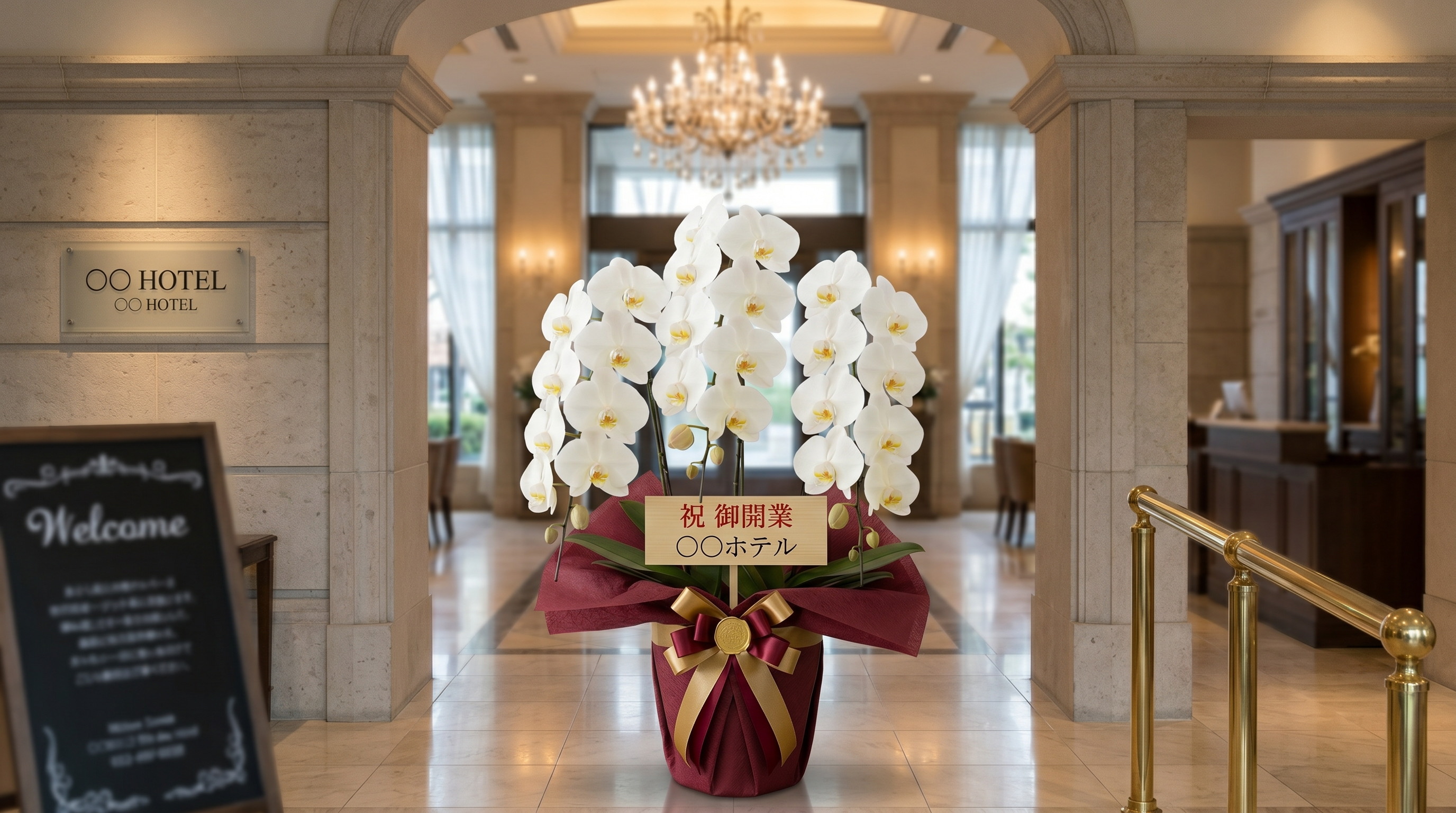 保育園の開園祝いに贈られた白胡蝶蘭3本立て