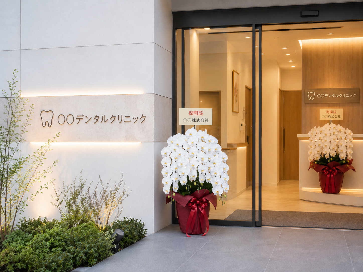 デンタルクリニックの開院祝いに店内外に並んだ胡蝶蘭2鉢