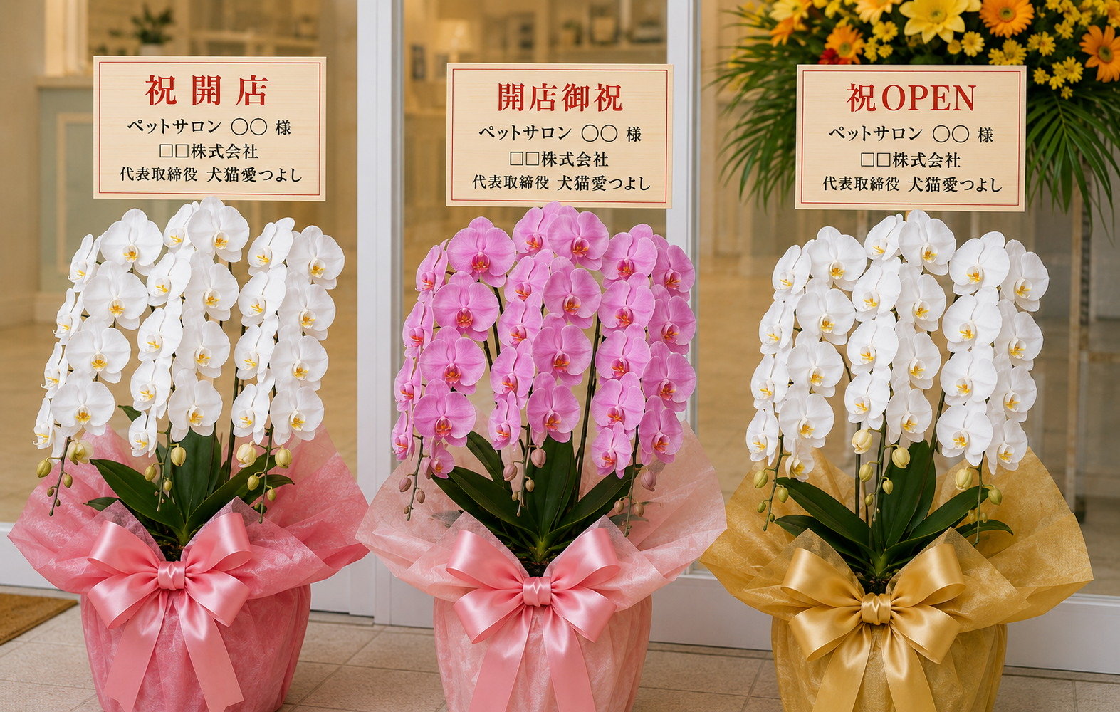 ペットサロンの開店祝い胡蝶蘭に添える立札のアップ